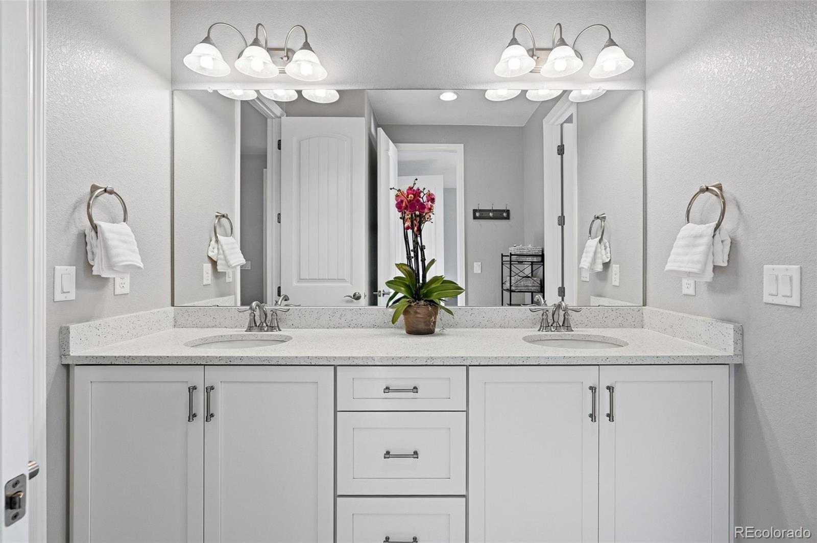 769 Winding Pine Lane Highlands Ranch, CO 80126 - Photo 25 of 50