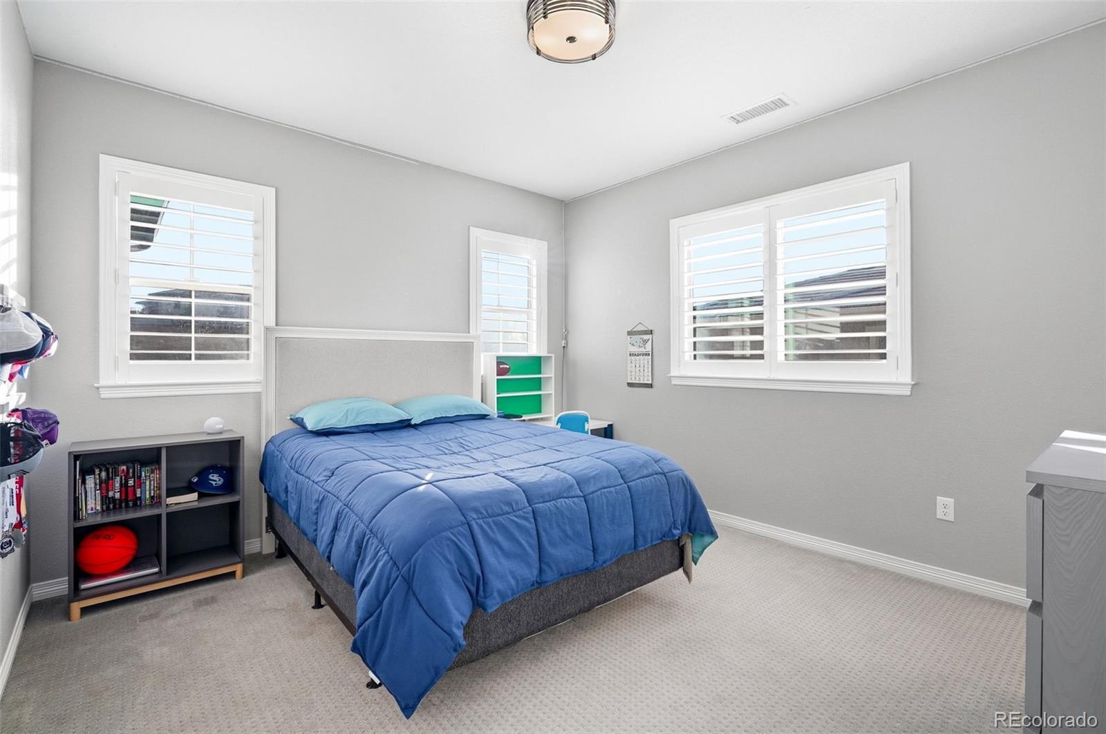 769 Winding Pine Lane Highlands Ranch, CO 80126 - Photo 33 of 50