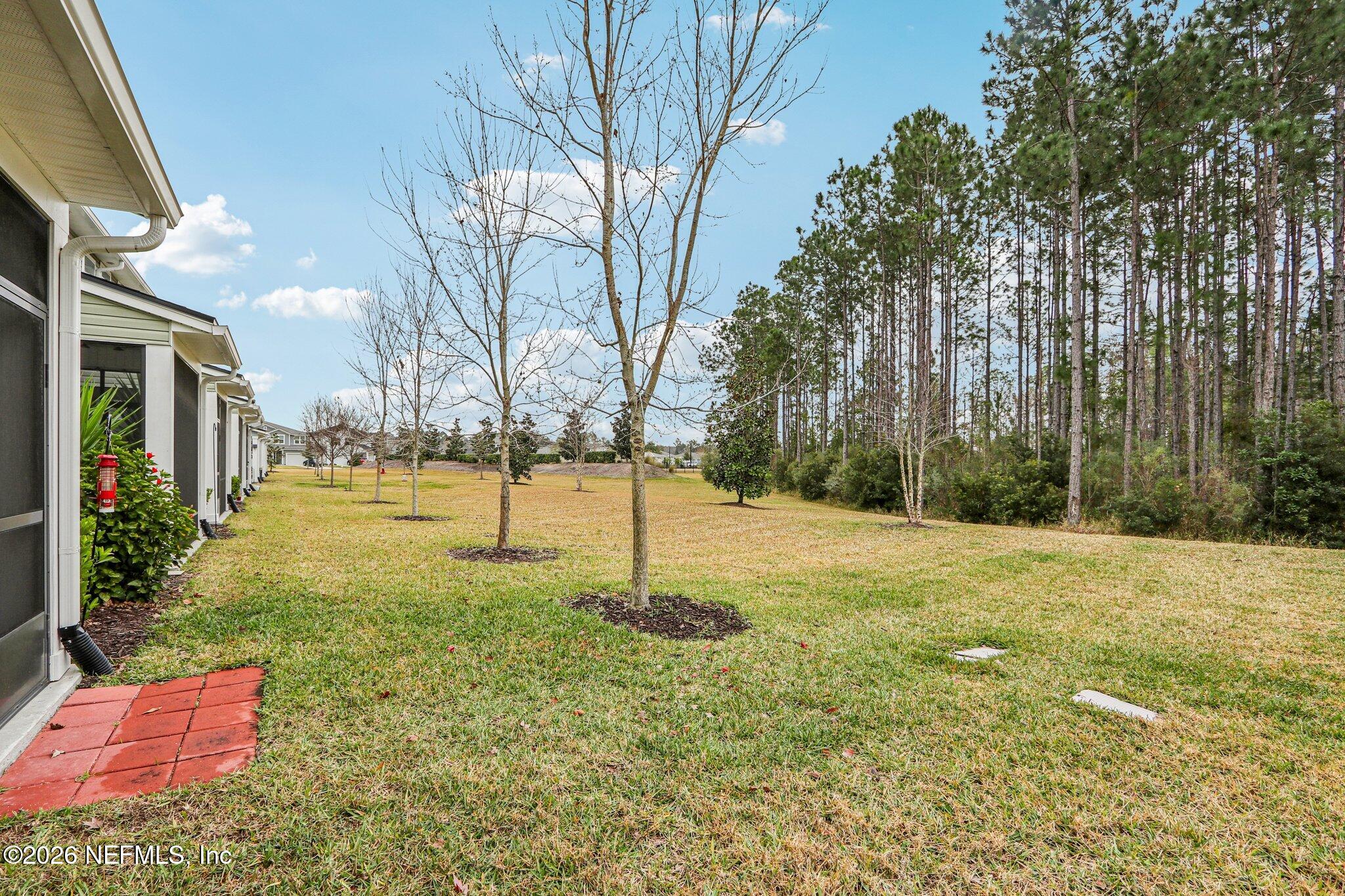 12068 Calvesta Street Jacksonville, FL 32256 - Photo 3 of 100 a backyard of a house with lots of green space
