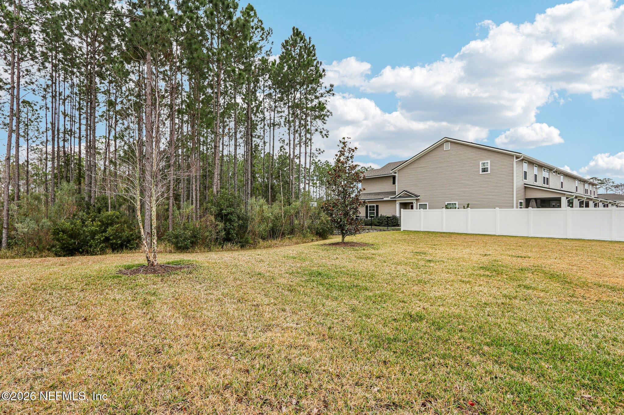 12068 Calvesta Street Jacksonville, FL 32256 - Photo 4 of 100 Rear Yard View 2