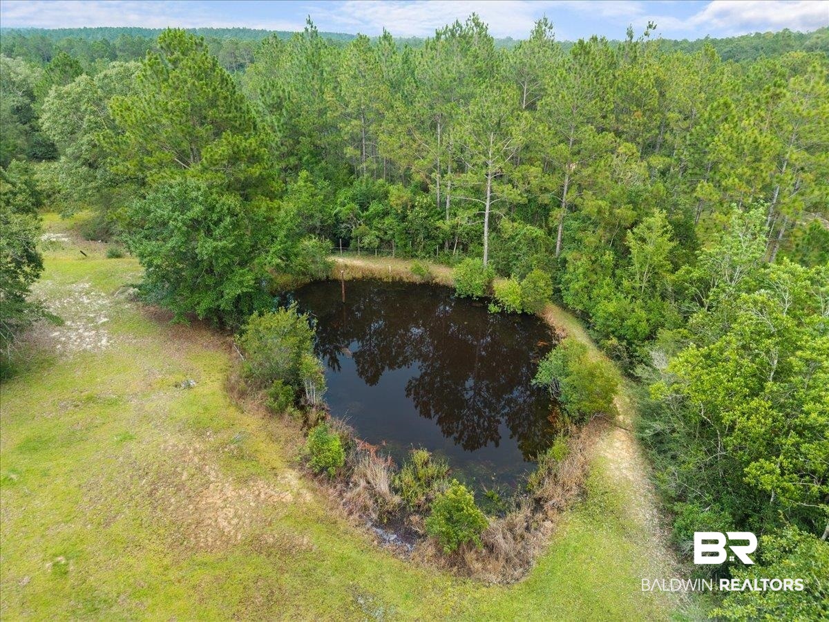 21011 River Road Robertsdale, AL 36567 - Photo 27 of 29 Private pond surrounded by mature trees