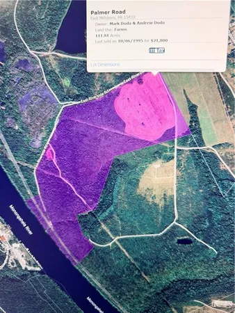 a view of a tennis ground with large trees