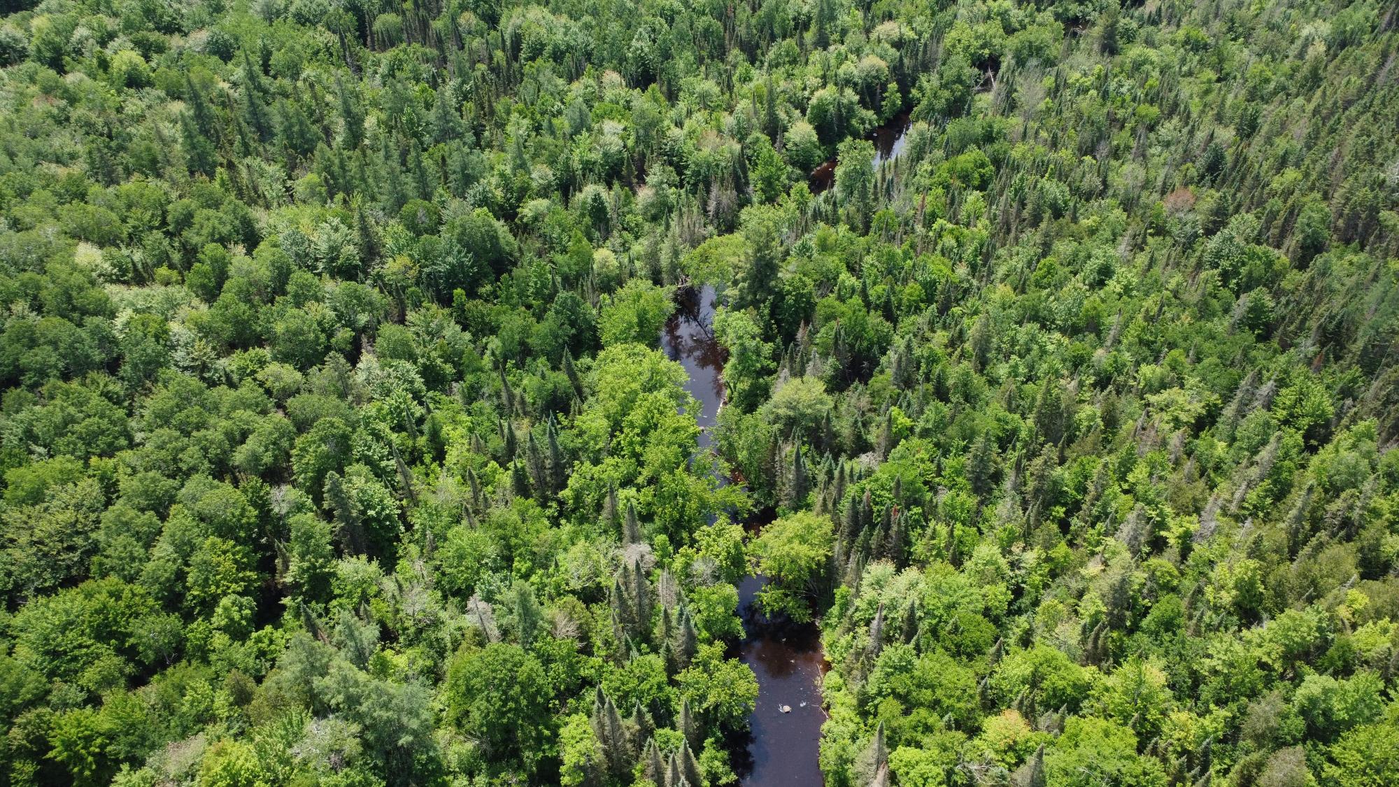 76557 Deringer Road Glidden, WI 54527 - Photo 23 of 50 Gallery Image 23