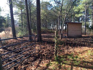 14290 Ridge Road Bloxom, VA 23308 - Photo 6 of 15