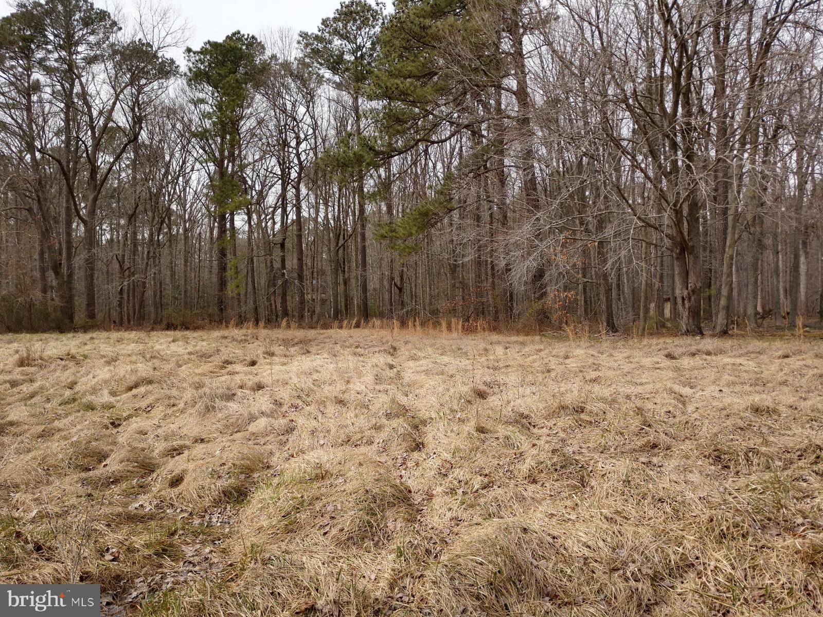 0 Royal Oak Road St. Michaels, MD 21663 - Photo 3 of 6 Gallery Image 3