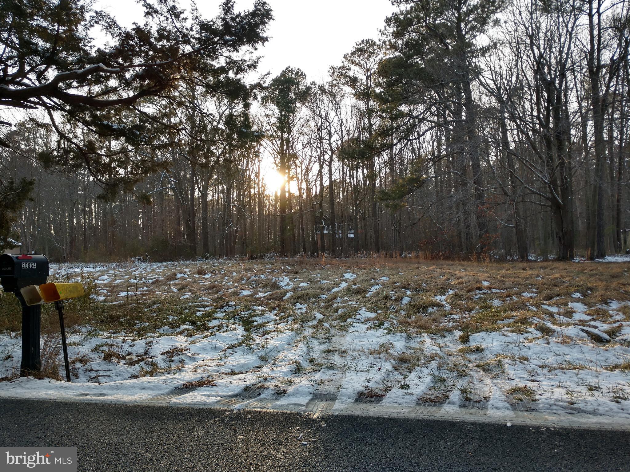 0 Royal Oak Road St. Michaels, MD 21663 - Photo 4 of 6 Nice wooded backdrop for your new dream home!