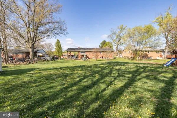 a view of yard with trees