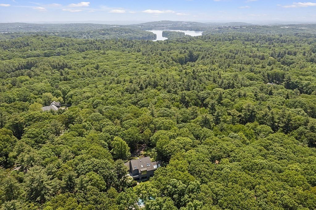 70 Davison Drive Lincoln, MA 01773 - Photo 37 of 37 a view of a big yard with lots of green space