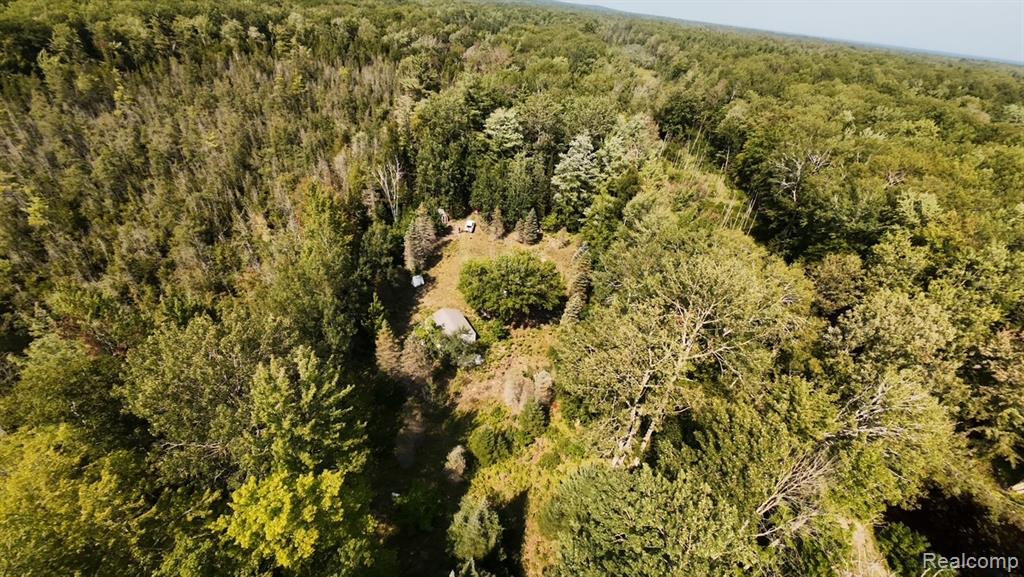 0 South Poor Farm Road Greenbush, MI 48738 - Photo 13 of 23