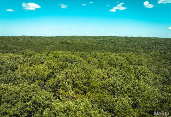 $385,000 | 0 County Road 5600, Bunker, MO 63629