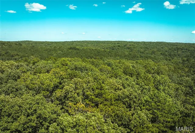 $385,000 | 0 County Road 5600, Bunker, MO 63629