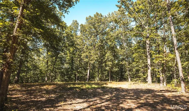 $385,000 | 0 County Road 5600, Bunker, MO 63629