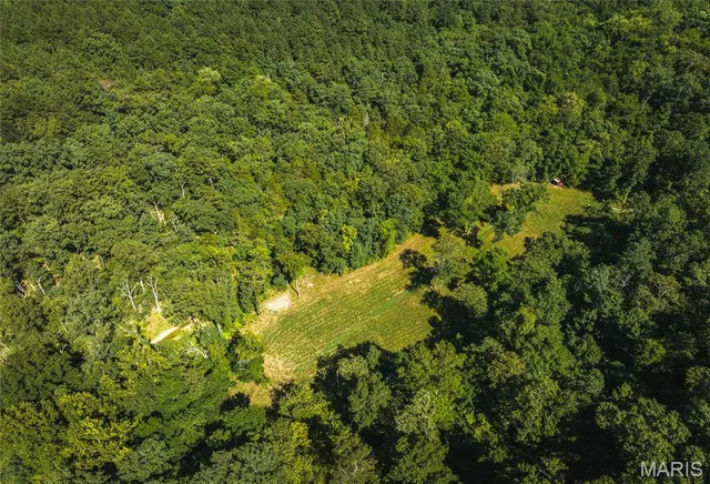 $385,000 | 0 County Road 5600, Bunker, MO 63629