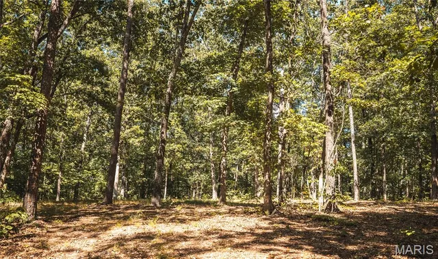 $385,000 | 0 County Road 5600, Bunker, MO 63629