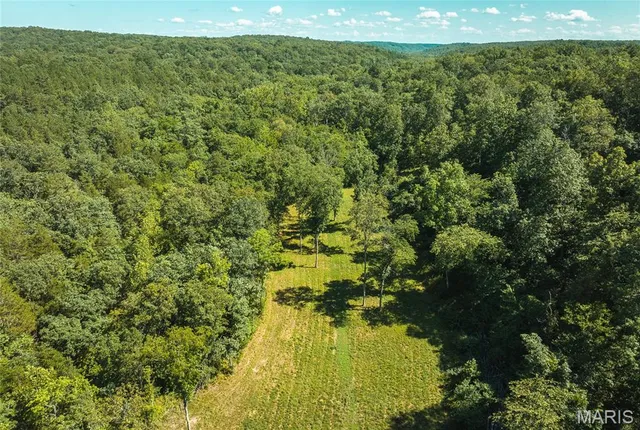 $385,000 | 0 County Road 5600, Bunker, MO 63629