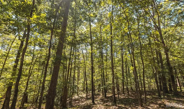 $385,000 | 0 County Road 5600, Bunker, MO 63629