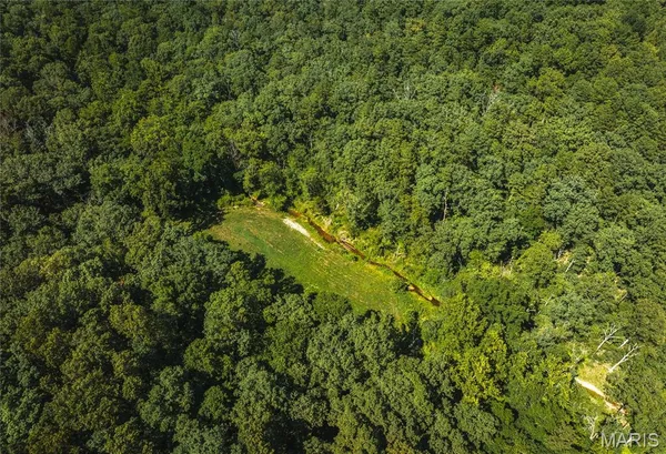 $385,000 | 0 County Road 5600, Bunker, MO 63629