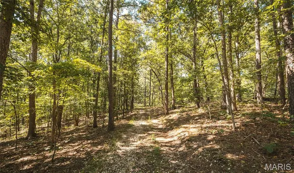 $385,000 | 0 County Road 5600, Bunker, MO 63629