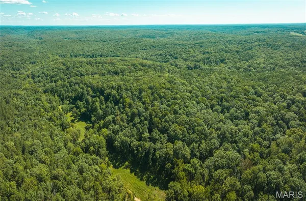 $385,000 | 0 County Road 5600, Bunker, MO 63629