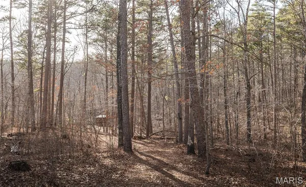 $385,000 | 0 County Road 5600, Bunker, MO 63629