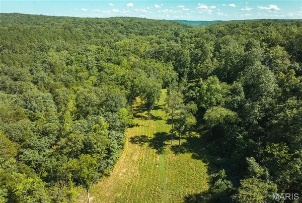 $385,000 | 0 County Road 5600, Bunker, MO 63629