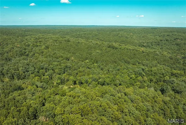 $385,000 | 0 County Road 5600, Bunker, MO 63629