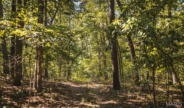 $385,000 | 0 County Road 5600, Bunker, MO 63629