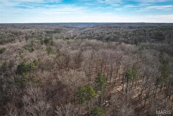 $385,000 | 0 County Road 5600, Bunker, MO 63629