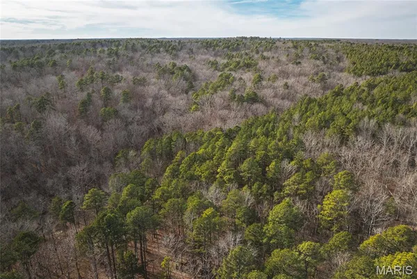 $385,000 | 0 County Road 5600, Bunker, MO 63629