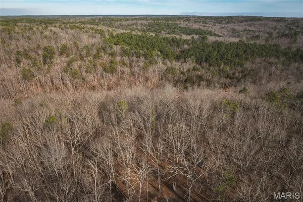 $385,000 | 0 County Road 5600, Bunker, MO 63629