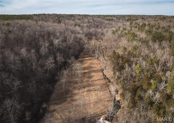 $385,000 | 0 County Road 5600, Bunker, MO 63629
