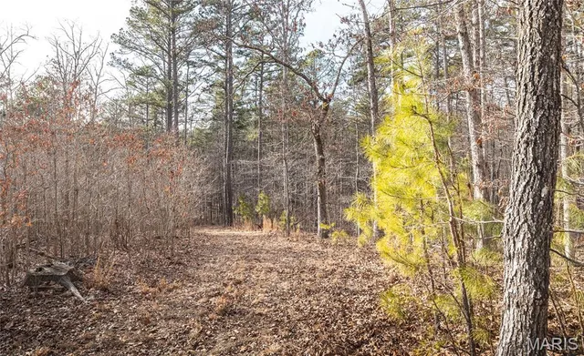 $385,000 | 0 County Road 5600, Bunker, MO 63629