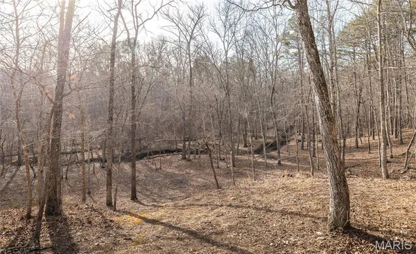 $385,000 | 0 County Road 5600, Bunker, MO 63629
