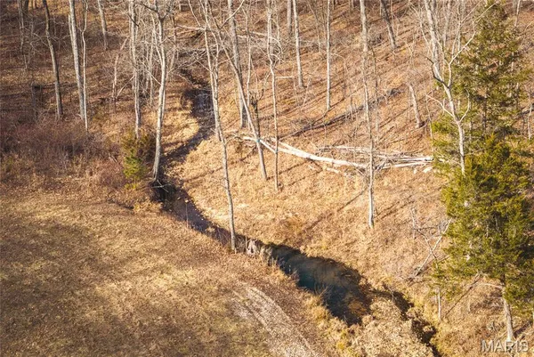 $385,000 | 0 County Road 5600, Bunker, MO 63629