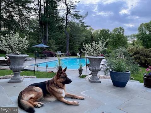 2287 South Valley Road Berwyn, PA 19312 - Photo 38 of 49