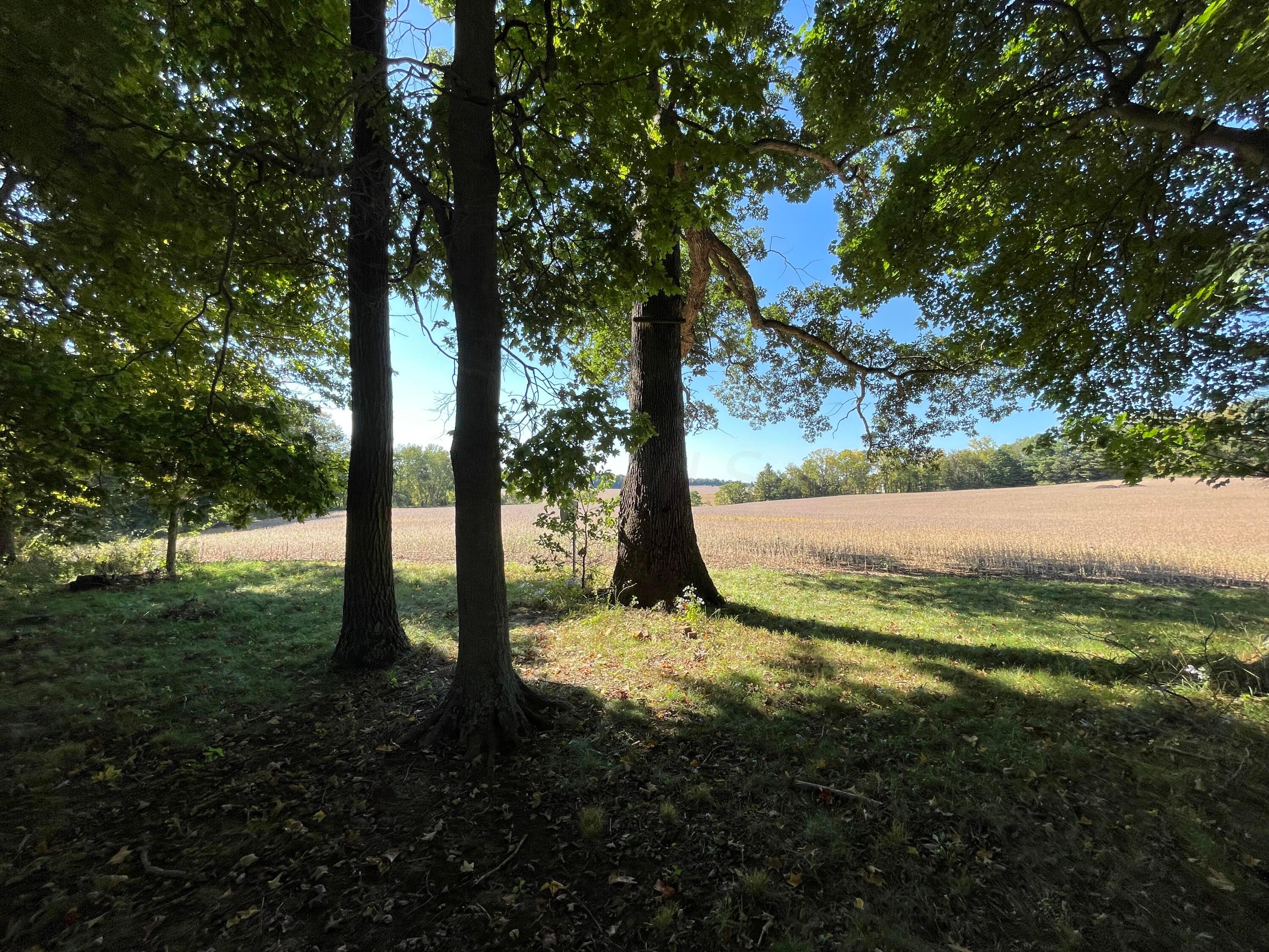 14180 Hyatt Road Mount Vernon, OH 43050 - Photo 15 of 28 5
