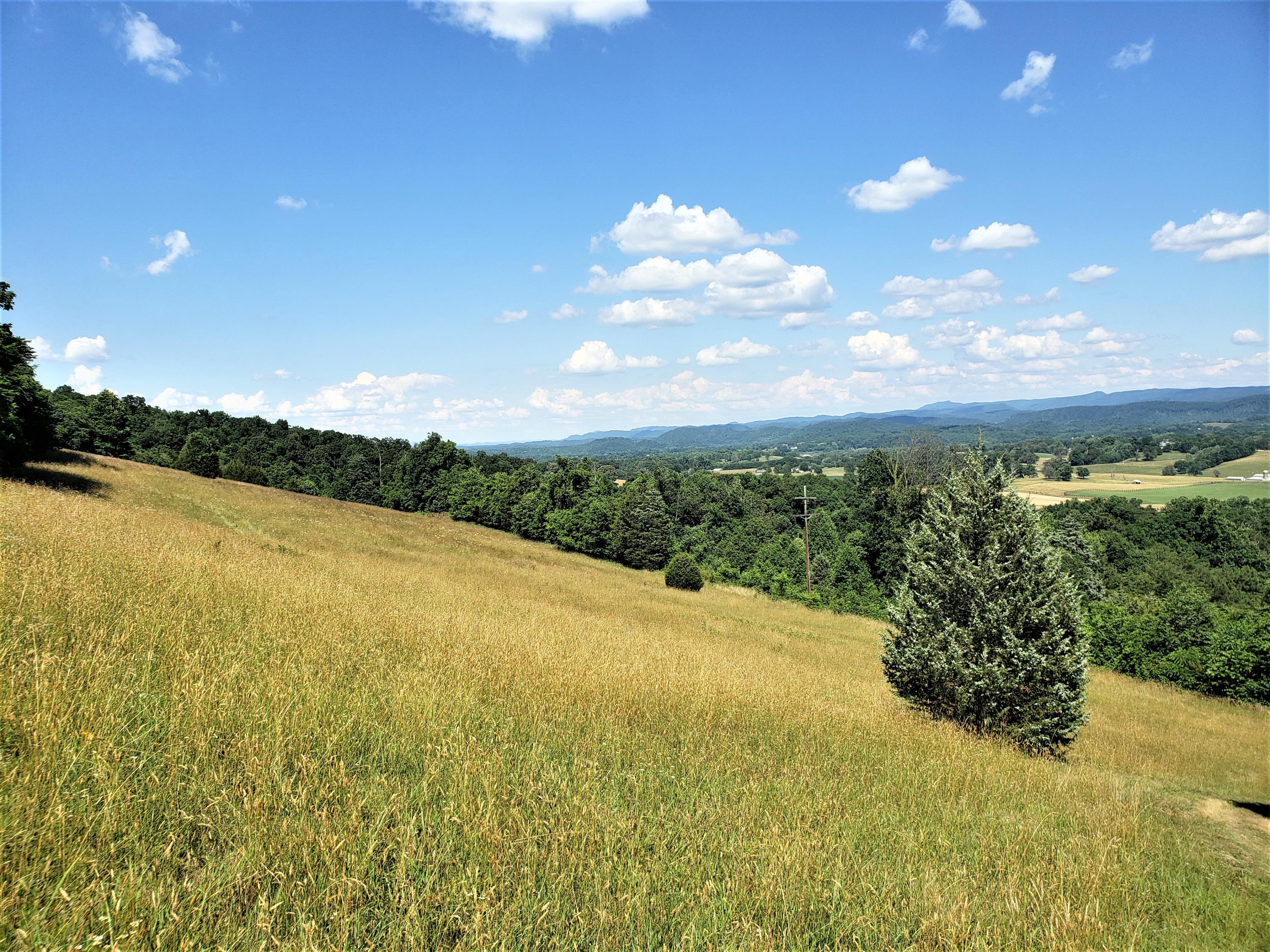 263 Cave Ridge Road Rogersville, TN 37857 - Photo 10 of 13 10