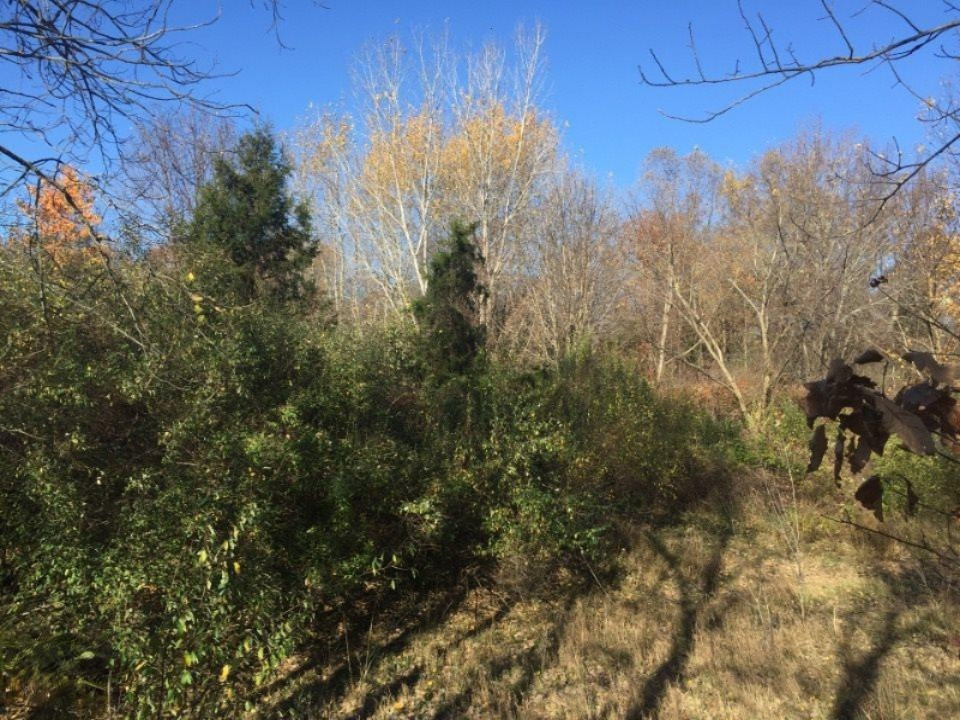 53 Doster Road Plainwell, MI 49080 - Photo 1 of 3 Doster wooded