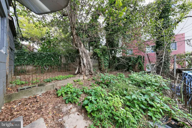 a backyard of a house with lots of green space and fountain