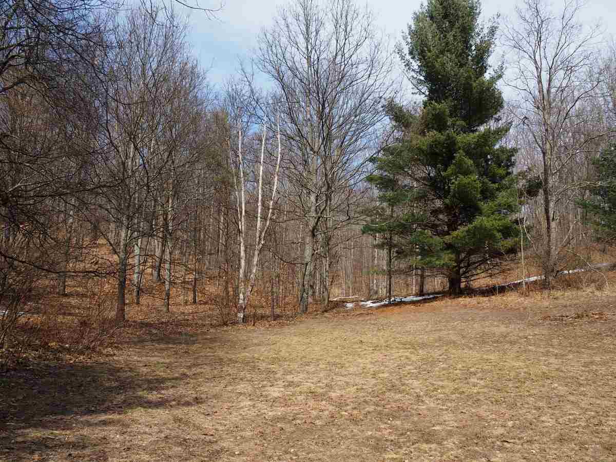 10550 Hooker Road Honor, MI 49640 - Photo 35 of 46 1844389-34.JPG
