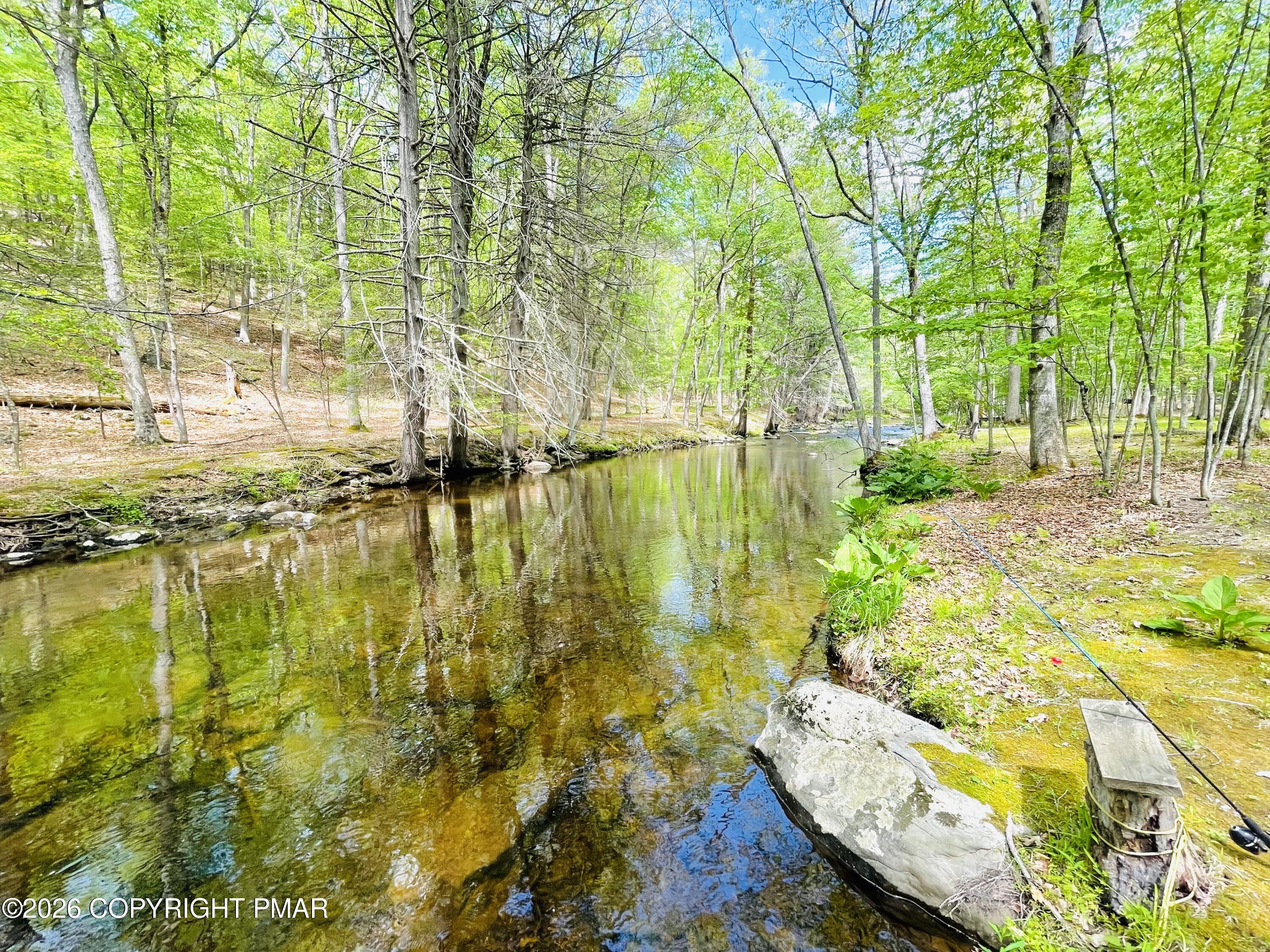 275 Canterbury Road Bushkill, PA 18324 - Photo 64 of 100 IMG_1652