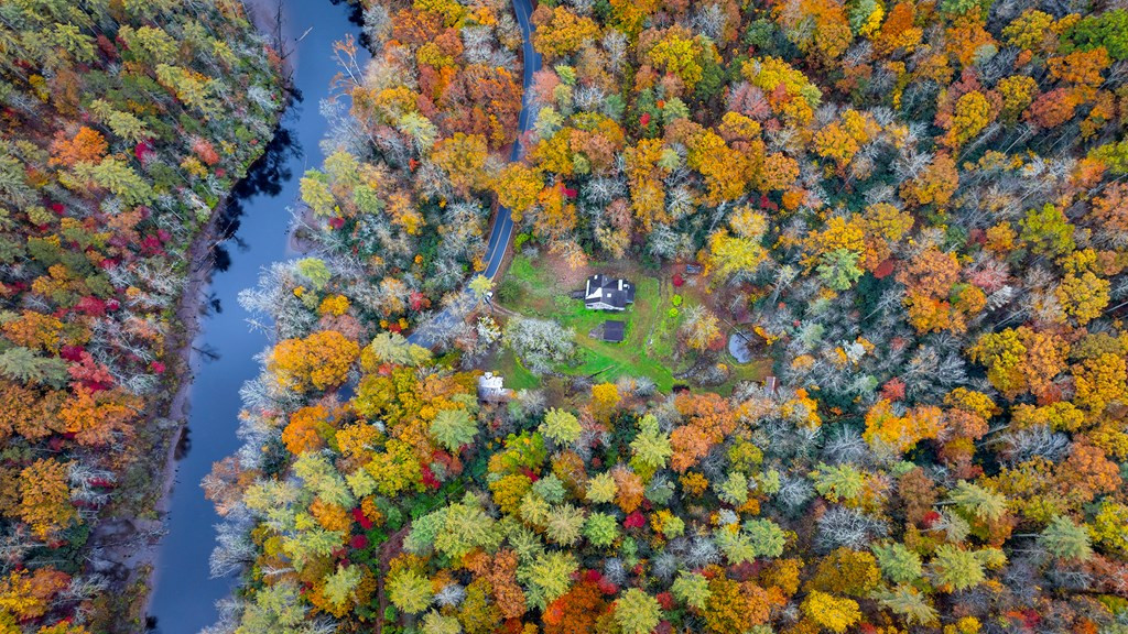 3549 Snowbird Road Robbinsville, NC 28771 - Photo 9 of 29 Gallery Image 9