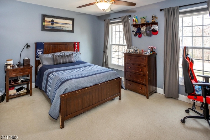 5 Green Hill Road Chester, NJ 07930 - Photo 24 of 44