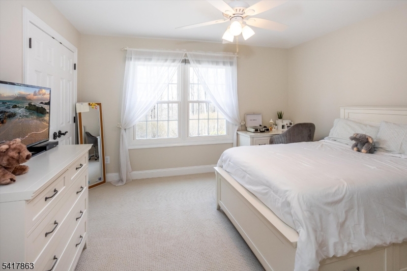 5 Green Hill Road Chester, NJ 07930 - Photo 27 of 44