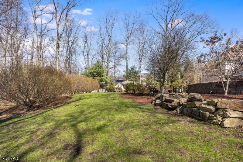 5 Green Hill Road Chester, NJ 07930 - Photo 43 of 44