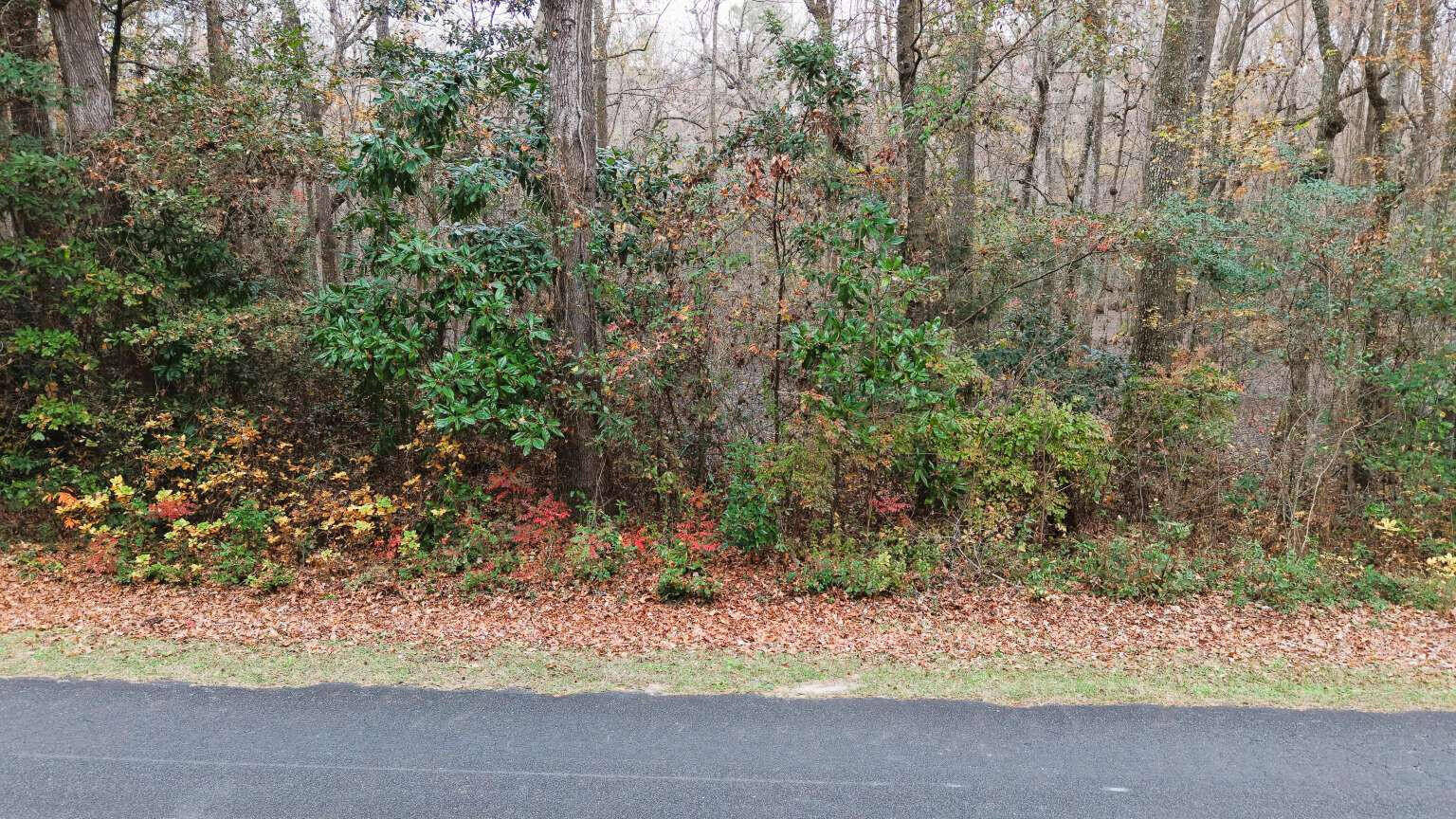 0 Betsy Hole Road Bonneau, SC 29431 - Photo 13 of 17 Aulakh.13