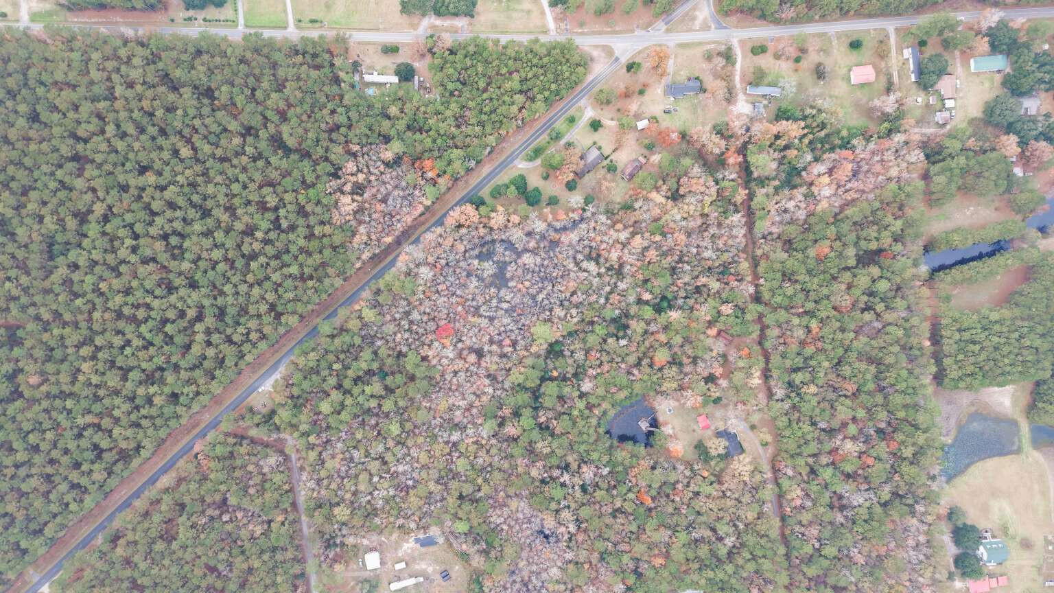 0 Betsy Hole Road Bonneau, SC 29431 - Photo 15 of 17 Aulakh.15