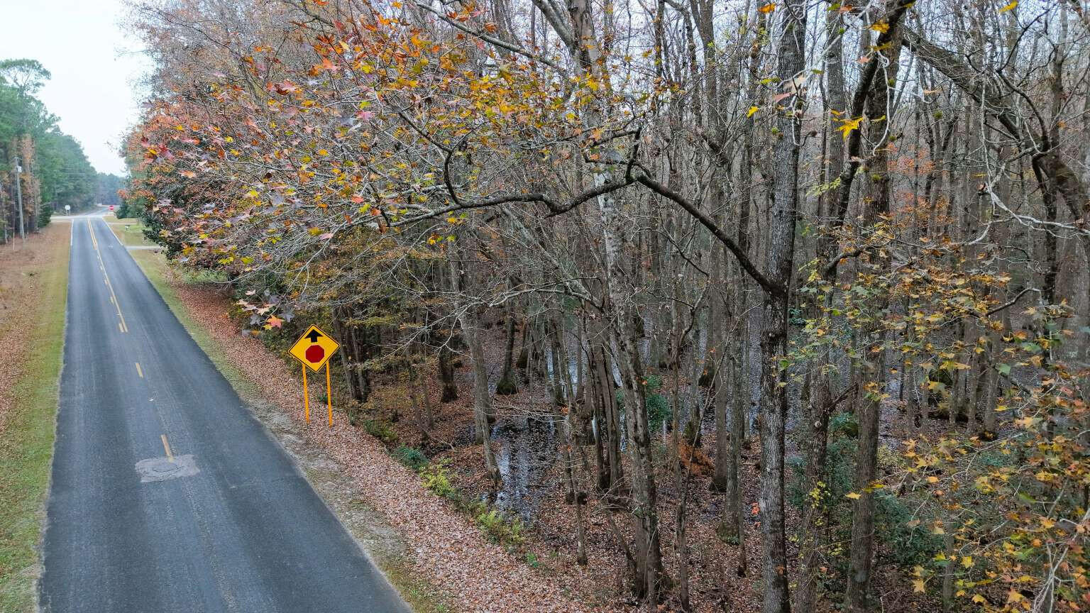 0 Betsy Hole Road Bonneau, SC 29431 - Photo 17 of 17 Aulakh.17