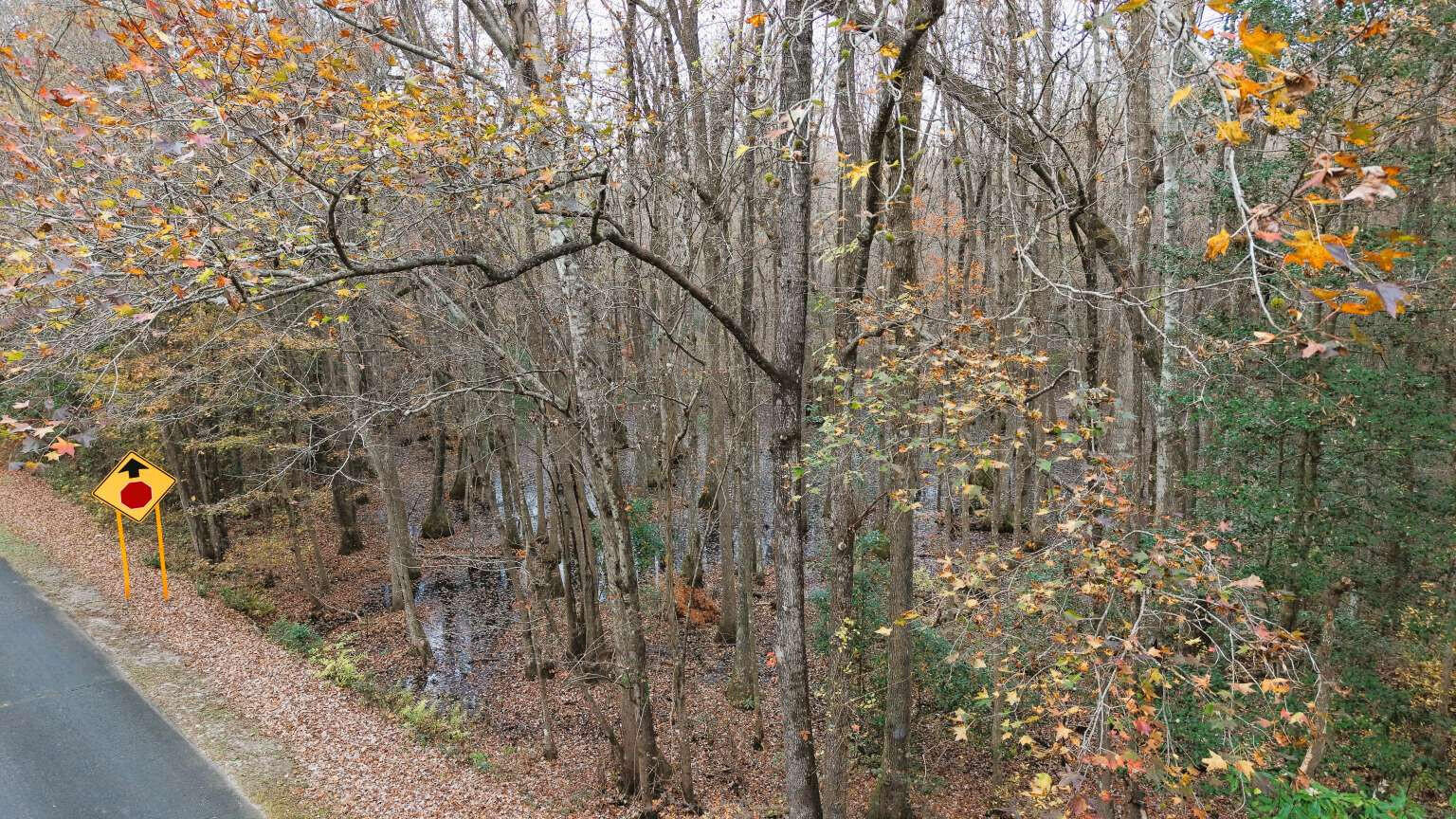 0 Betsy Hole Road Bonneau, SC 29431 - Photo 2 of 17 Aulakh.2