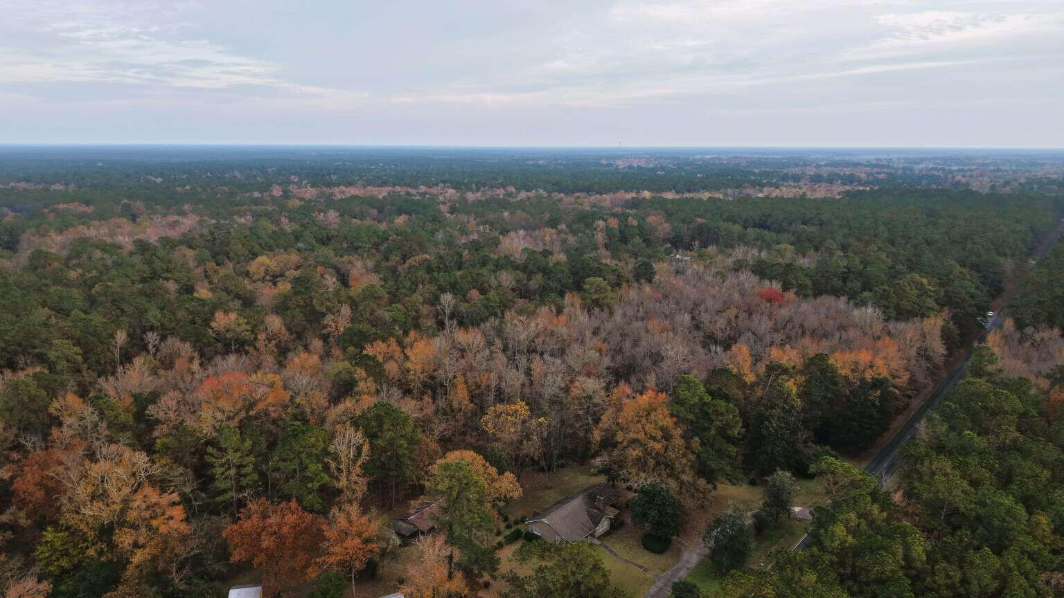 0 Betsy Hole Road Bonneau, SC 29431 - Photo 9 of 17 Aulakh.9
